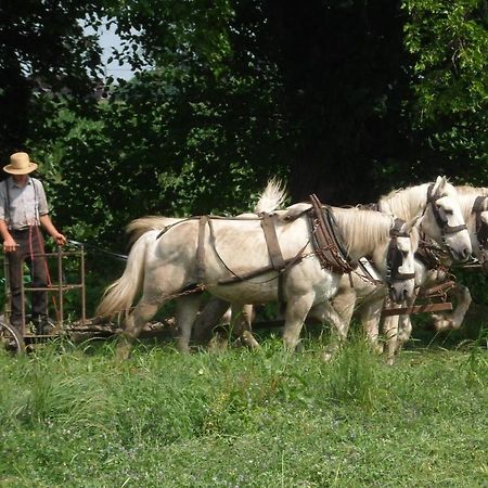 Cherry Lane Motor Inn Amish Country Ronks Bagian luar foto